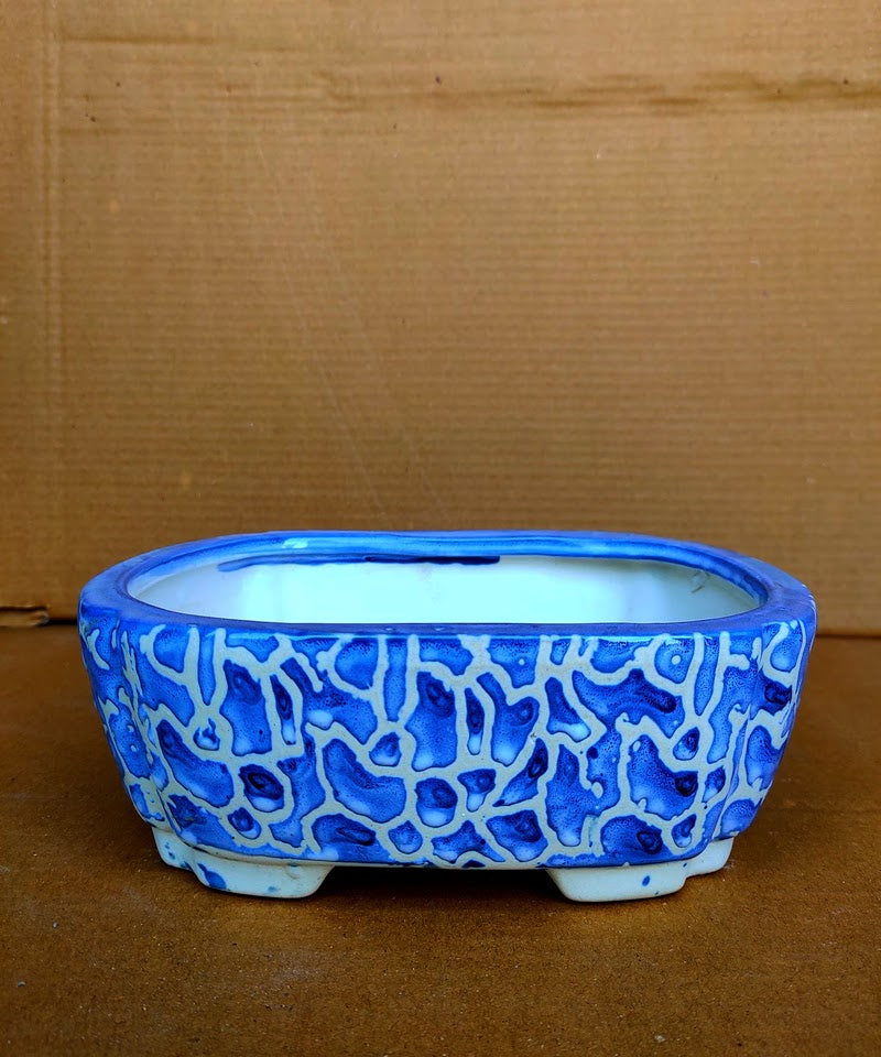 Rectangular Blue Ceramic Bonsai Pot for Garden & Indoor Plants | 25x20x7.5 cm Curved Carved Design