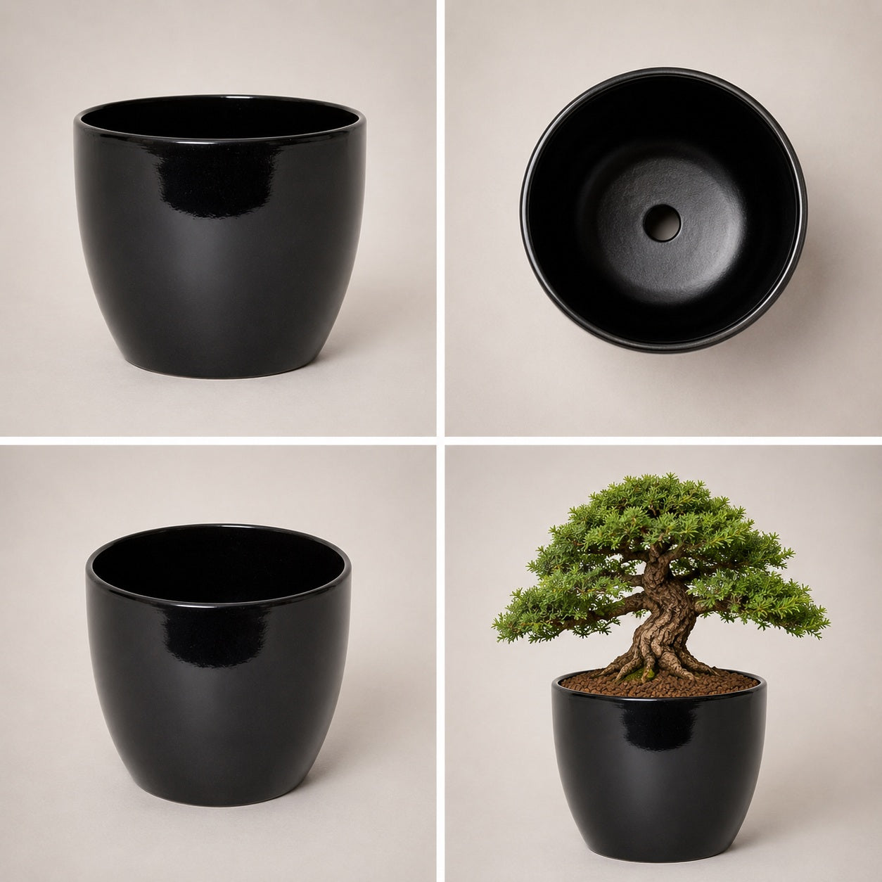 Round Ceramic Pot for Bonsai & Houseplants 5.5x5.5 inches