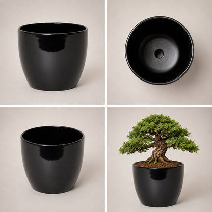 Round Ceramic Pot for Bonsai & Houseplants 5.5x5.5 inches