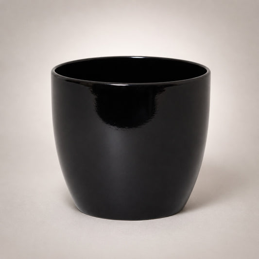 Round Ceramic Pot for Bonsai & Houseplants 5.5x5.5 inches