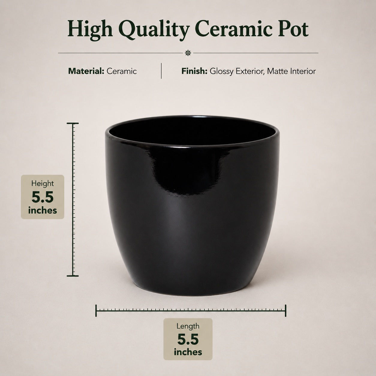 Round Ceramic Pot for Bonsai & Houseplants 5.5x5.5 inches