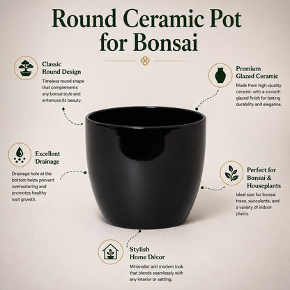 Round Ceramic Pot for Bonsai & Houseplants 5.5x5.5 inches