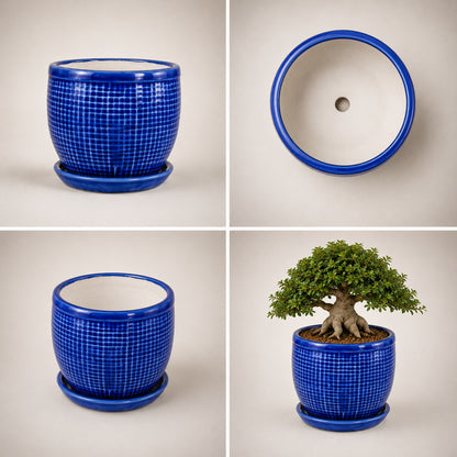 Round Ceramic Pot with Tray | 4 Inch Small Planter