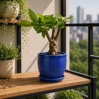 Round Ceramic Pot with Tray | 4 Inch Small Planter