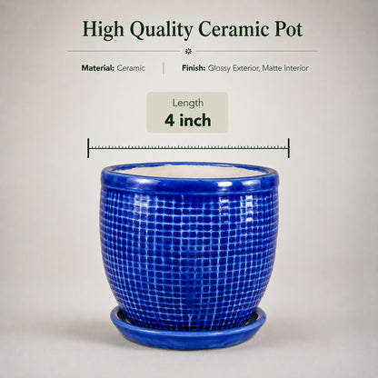 Round Ceramic Pot with Tray | 4 Inch Small Planter