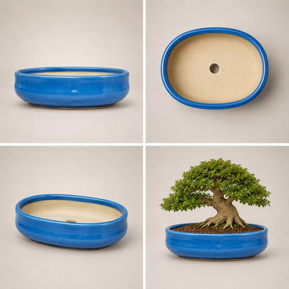 Sky Blue Oval Ceramic Bonsai Pot - Large Bonsai Planter