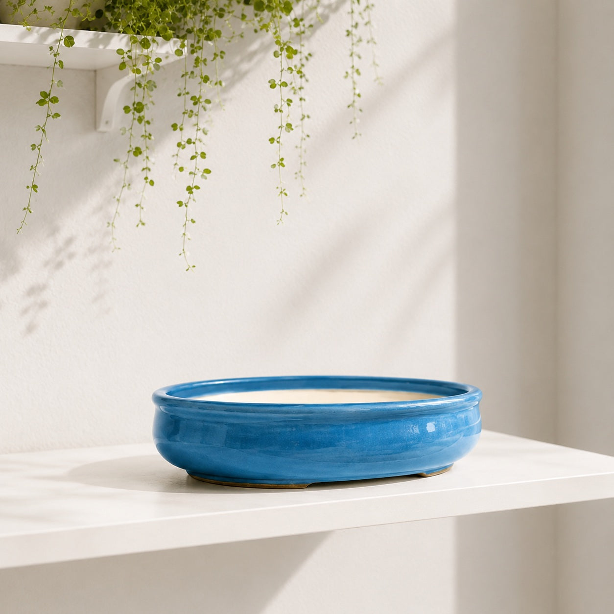 Sky Blue Oval Ceramic Bonsai Pot - Large Bonsai Planter