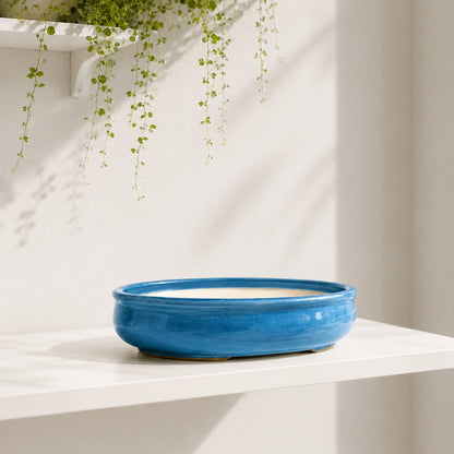 Sky Blue Oval Ceramic Bonsai Pot - Large Bonsai Planter