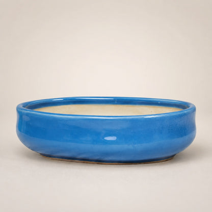 Sky Blue Oval Ceramic Bonsai Pot - Large Bonsai Planter