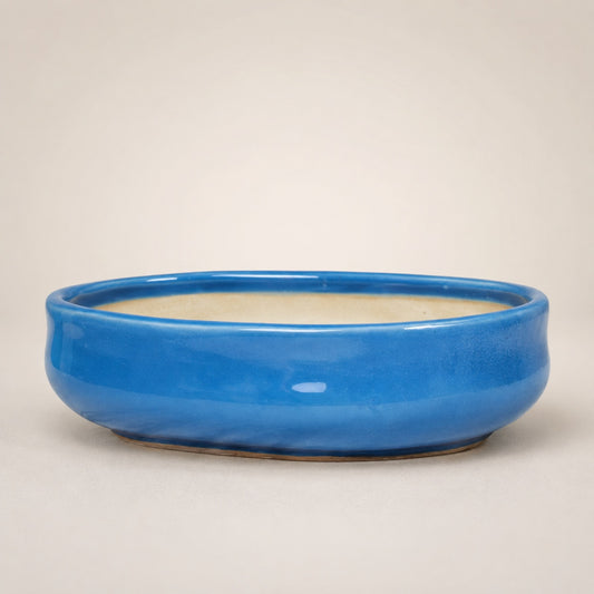 Sky Blue Oval Ceramic Bonsai Pot - Large Bonsai Planter