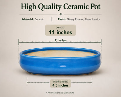 Sky Blue Oval Ceramic Bonsai Pot - Large Bonsai Planter