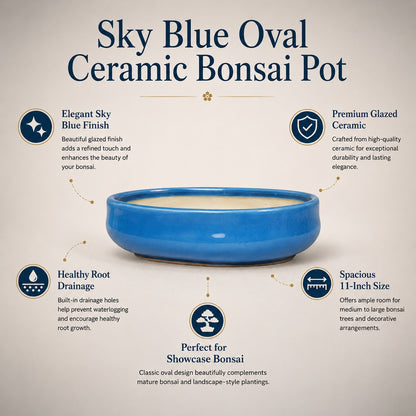 Sky Blue Oval Ceramic Bonsai Pot - Large Bonsai Planter