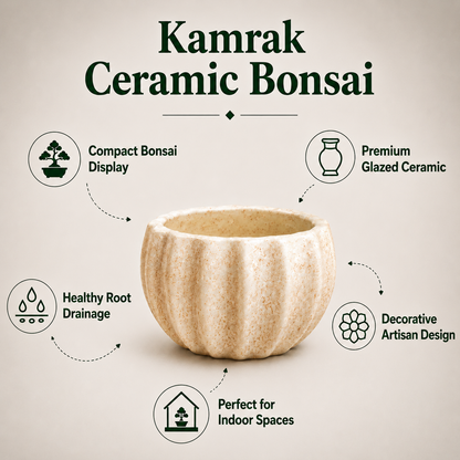 Kamrak Ceramic Bonsai Pot 13 cm 5 inches