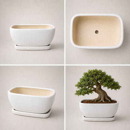 White Ceramic Bonsai Tray Pot | 17 cm Indoor Plant Pot