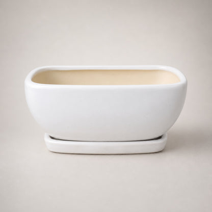 White Ceramic Bonsai Tray Pot | 17 cm Indoor Plant Pot