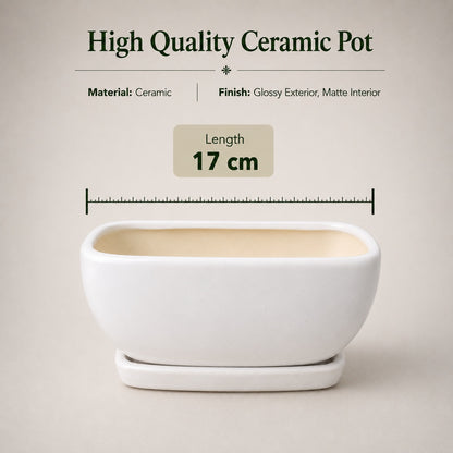 White Ceramic Bonsai Tray Pot | 17 cm Indoor Plant Pot