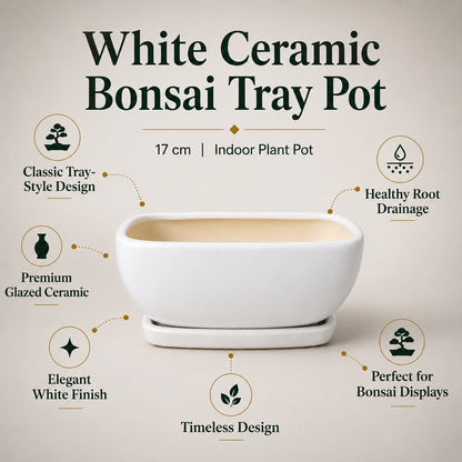 White Ceramic Bonsai Tray Pot | 17 cm Indoor Plant Pot