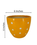 Dotted Ceramic Pot | 6 Inch Small Planter