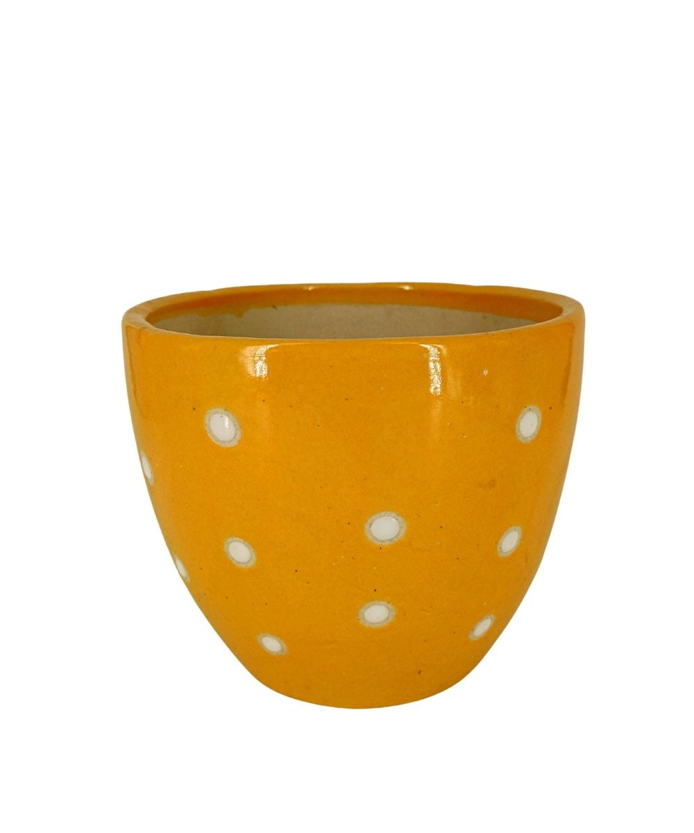 Dotted Ceramic Pot | 6 Inch Small Planter