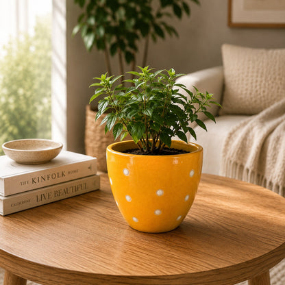 Dotted Ceramic Pot | 6 Inch Small Planter