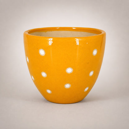 Dotted Ceramic Pot | 6 Inch Small Planter