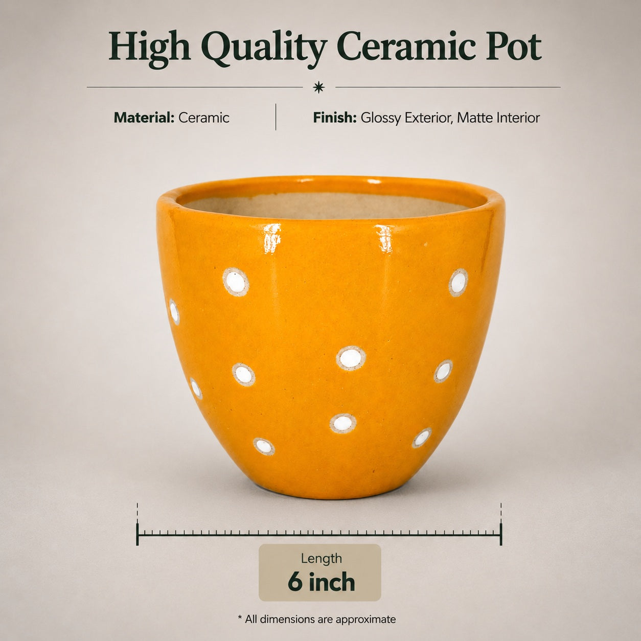 Dotted Ceramic Pot | 6 Inch Small Planter