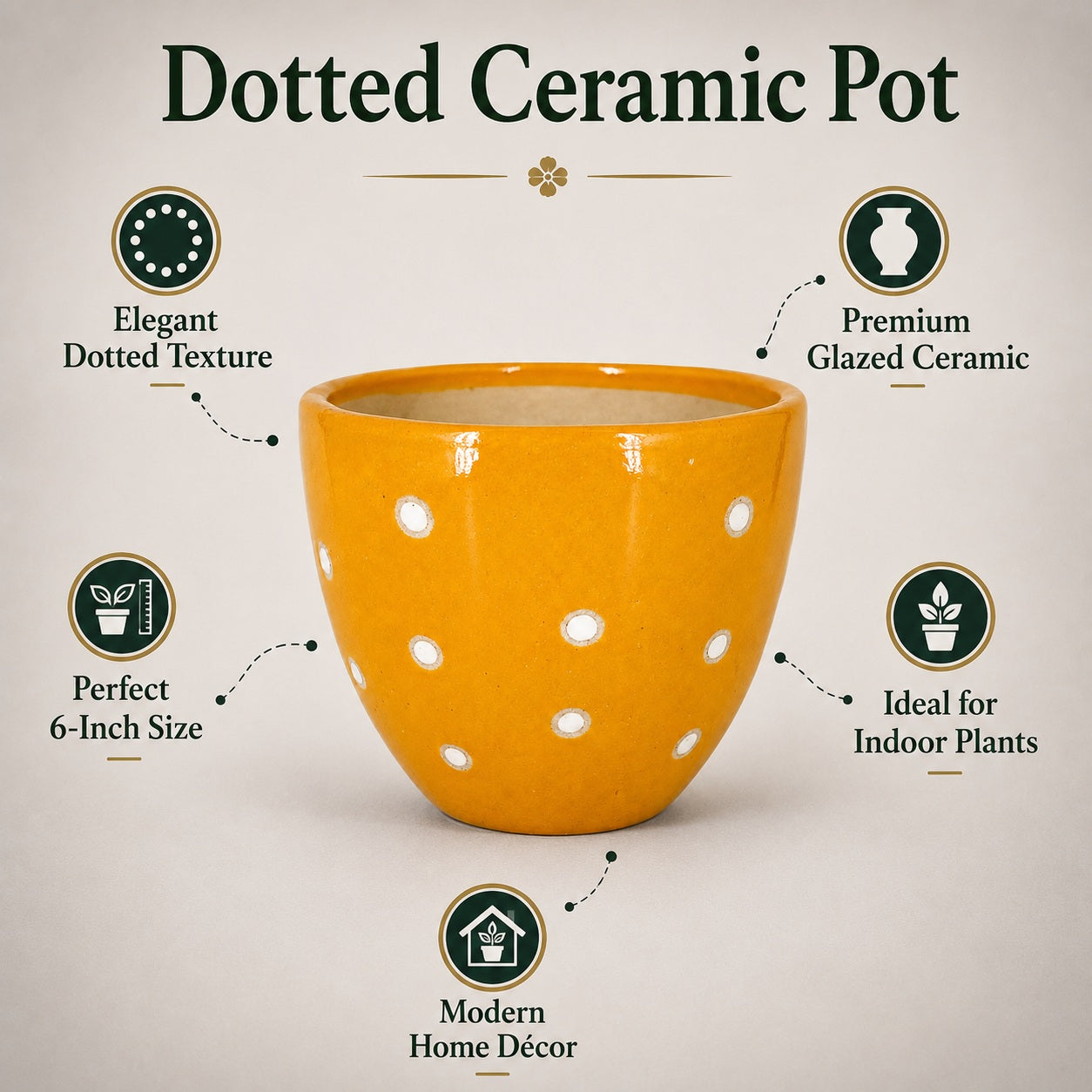 Dotted Ceramic Pot | 6 Inch Small Planter