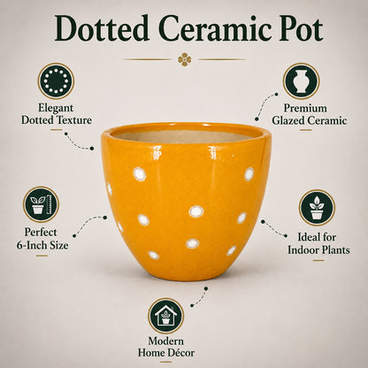 Dotted Ceramic Pot | 6 Inch Small Planter