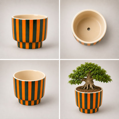 Zebra Classic Ceramic Pot with Tray | Black & White Patterned Planter