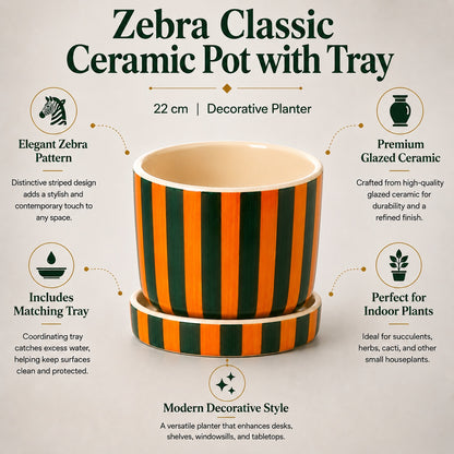 Zebra Classic Ceramic Pot with Tray | Black & White Patterned Planter
