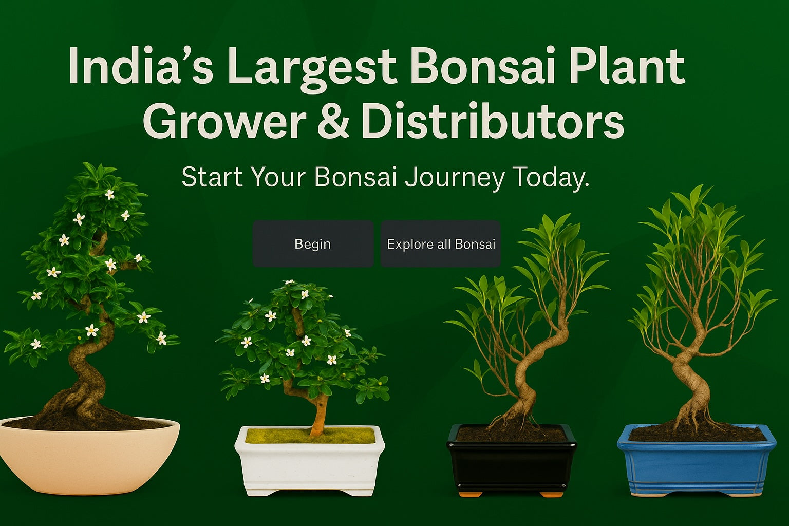 India's Largest Bonsai Plant Grower & Distributors