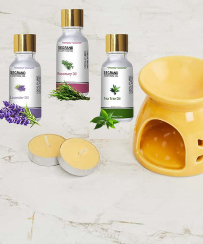 Buy Abana Homes Diffuser with 3 Essential Oil Combo [Super Value Pack] - Abana Homes