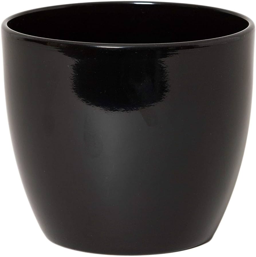 Round Ceramic Pot for Bonsai & Houseplants