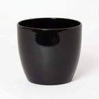 Round Ceramic Pot for Bonsai & Houseplants 5.5x5.5 inches