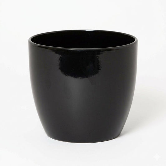 Round Ceramic Pot for Bonsai & Houseplants 5.5x5.5 inches