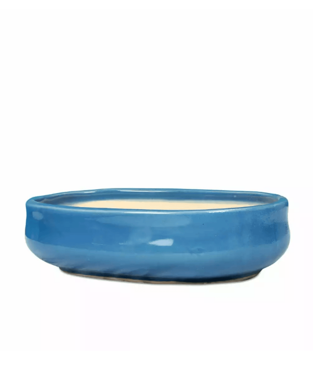 Sky Blue Oval Ceramic Bonsai Pot - Large Bonsai Planter