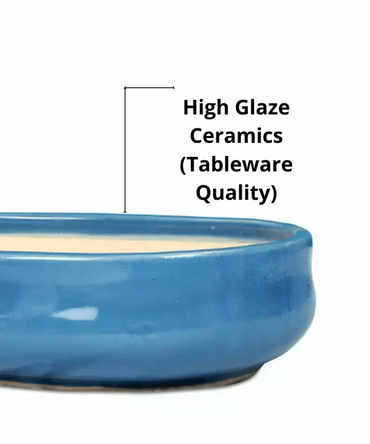 Buy Bonsai Pot Sky Blue Oval 27 cm / 11 Inches - Abana Homes