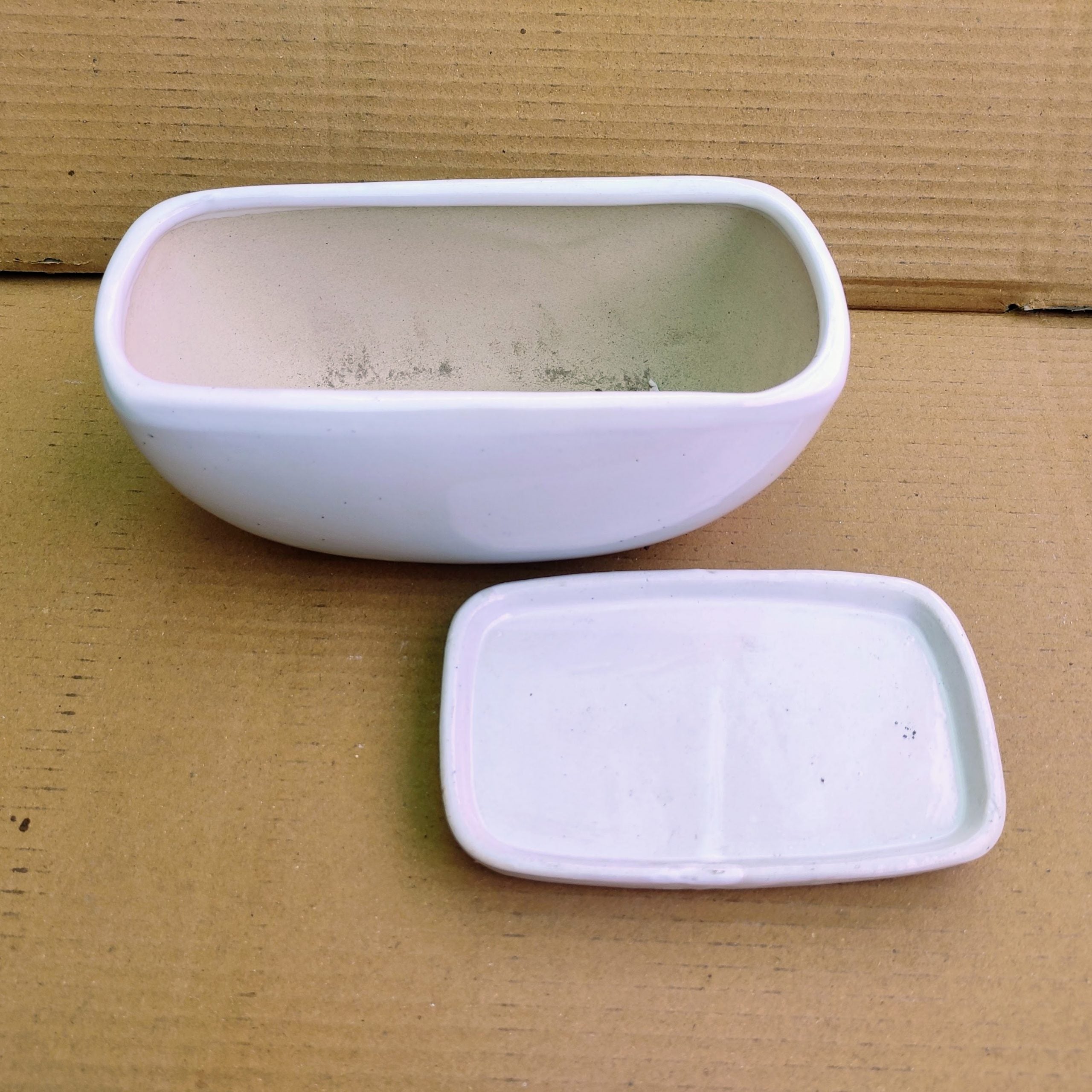 White Ceramic Bonsai Tray Pot | 17 cm Indoor Plant Pot