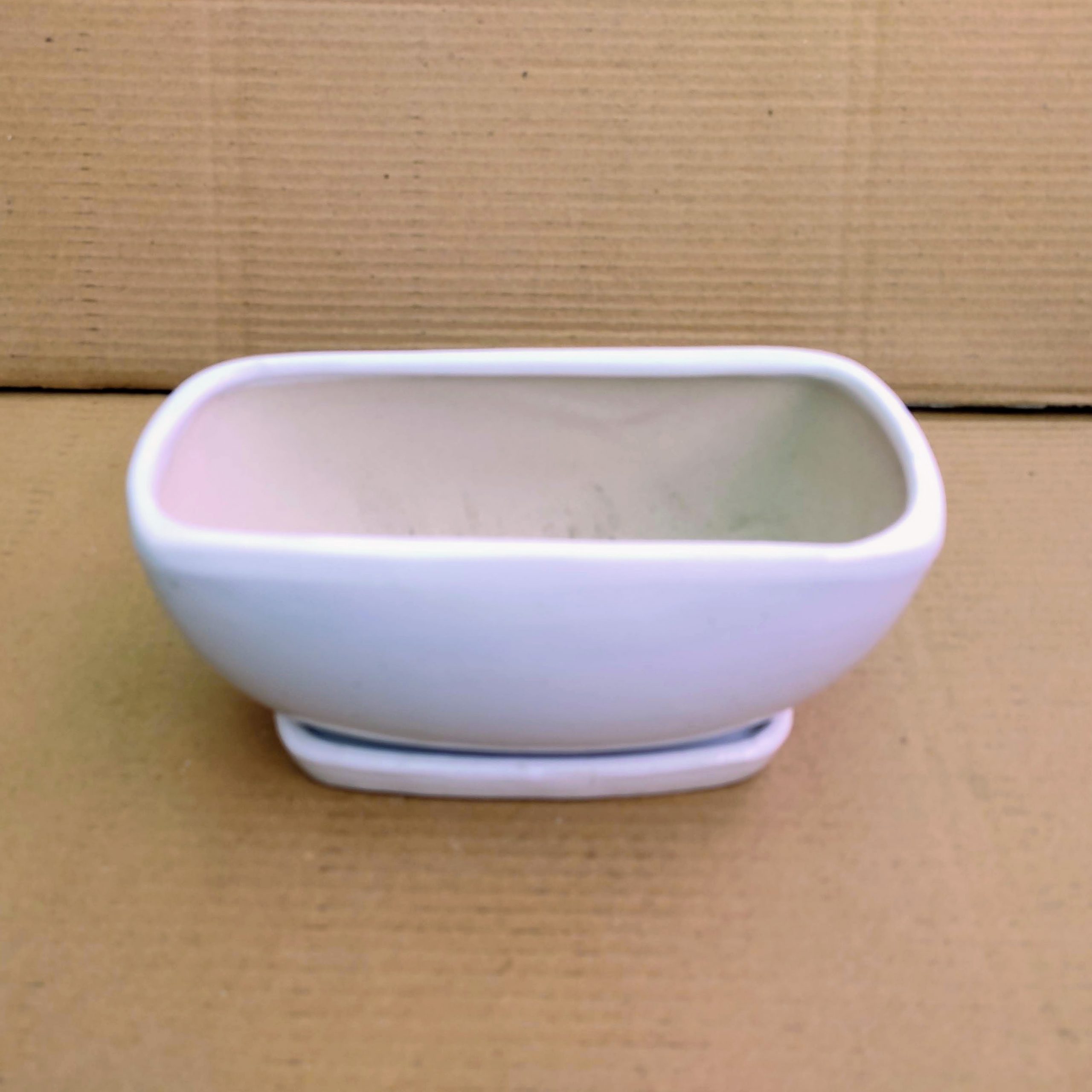 White Ceramic Bonsai Tray Pot | 17 cm Indoor Plant Pot
