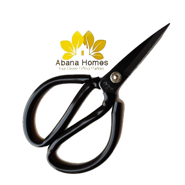 Buy Bonsai Shears 8 Inches (Multi color) - Abana Homes