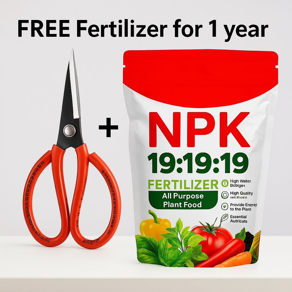 Bonsai Scissors + One Year Fertiliser