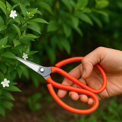 Bonsai Shears for Pruning & Trimming of Bonsai Plants & Garden Plants 8 Inches