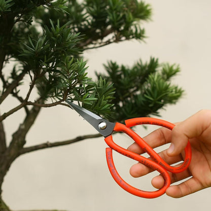 Bonsai Shears for Pruning & Trimming of Bonsai Plants & Garden Plants 8 Inches
