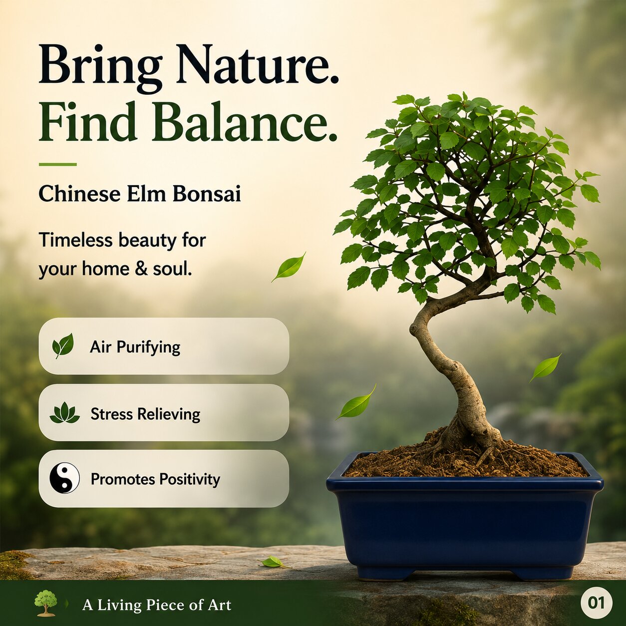 Chinese Elm Outdoor Bonsai Tree 4 Years 30cm