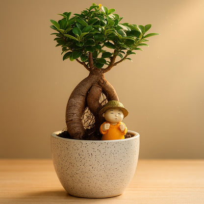 Ficus Bonsai Plant with Figurine 4-5 Years 30cm
