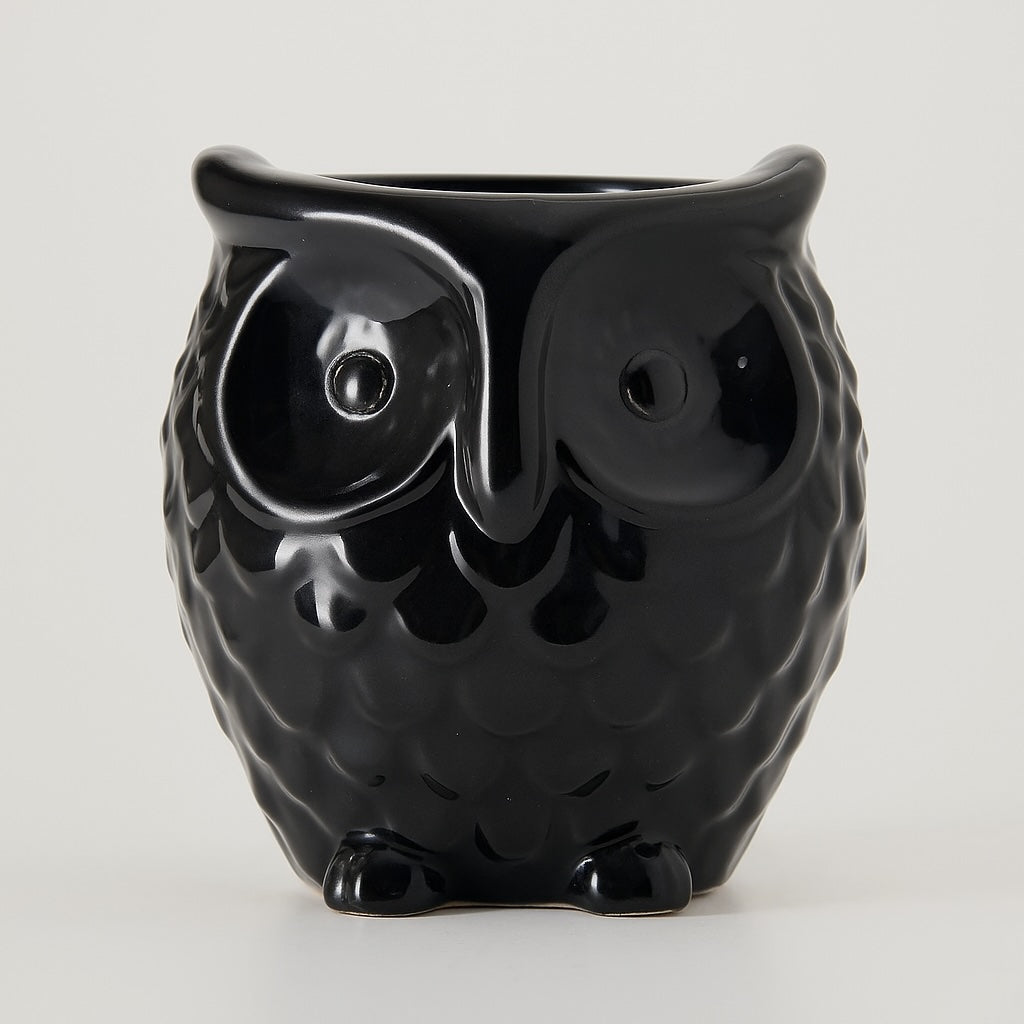 Owl-Shaped Ceramic Bonsai Pot | 9 cm / 3.5 Inch Decorative Planter