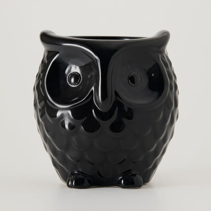 Owl-Shaped Ceramic Bonsai Pot | 9 cm / 3.5 Inch Decorative Planter