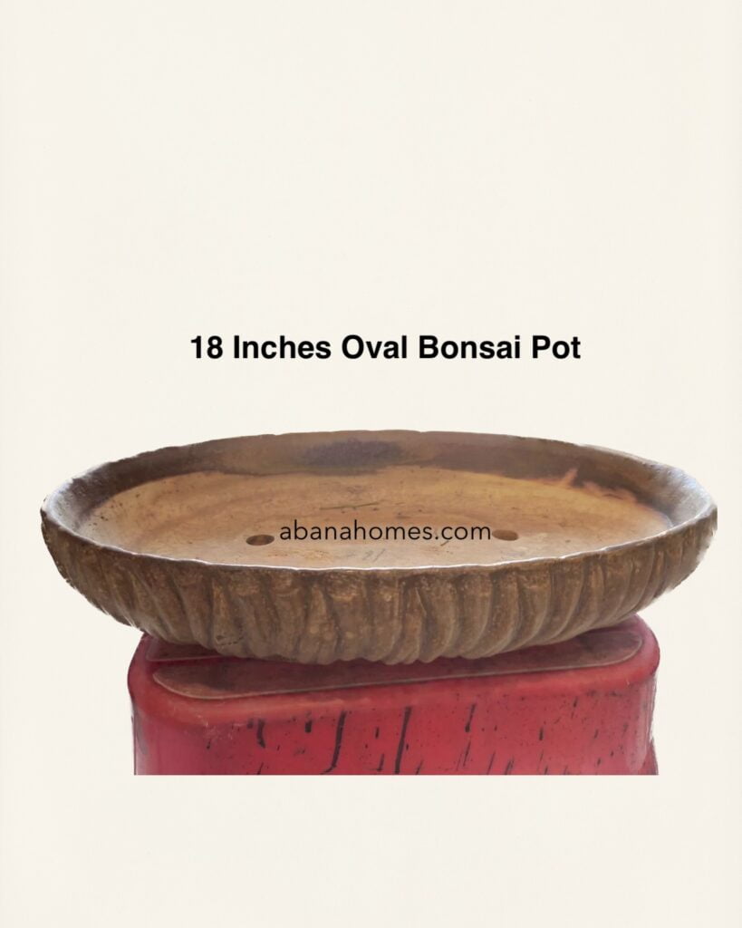 Ceramics Bonsai Planter Large Bonsai Planter 43cm / 17 Inches
