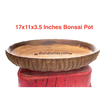 Big Bonsai Pot - Large Bonsai Planter Tray 43cm / 17 Inches