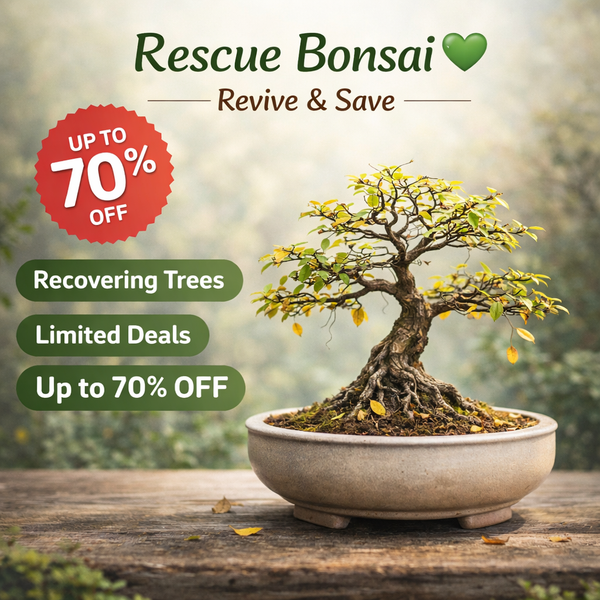 Rescue Bonsai